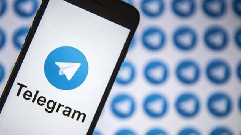 Güney Kore Telegram’a yetkili atadı